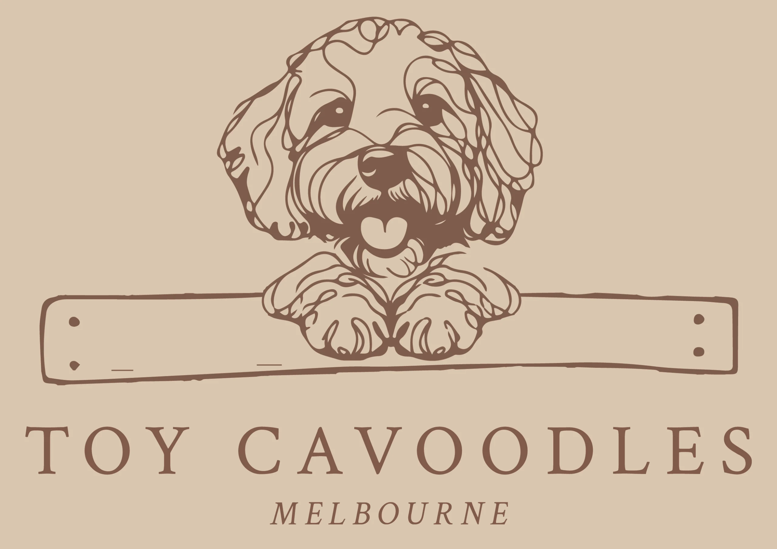 Toy Cavoodles Melbourne